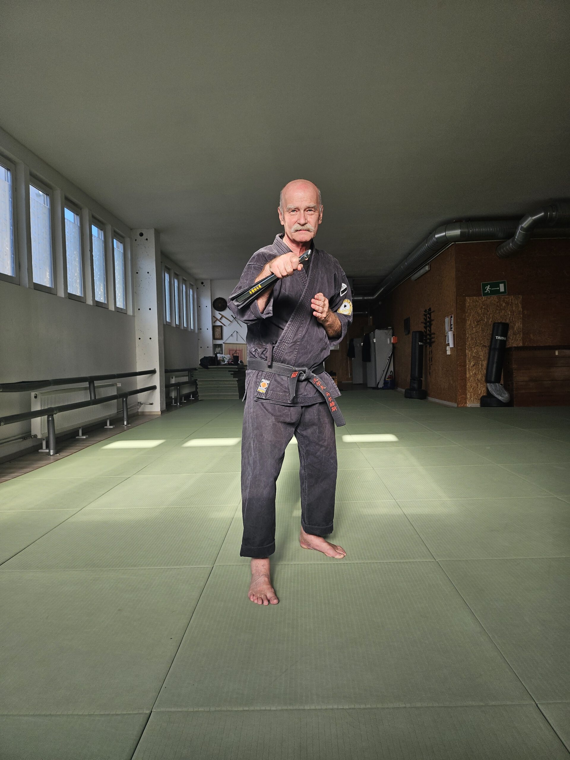 Wolf Markus Vysek - Tessen